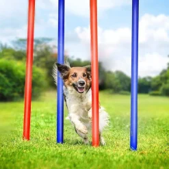 Agility Slalompinnar För Hundträning 60 Cm 4-pack