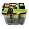 Tilltuggshållare Av Bamboo 65 Mm 6 X 100-pack 1 Tilltuggshållare Av Bamboo 65 Mm 6 X 100-pack -Megafynd shop 18347 1 2
