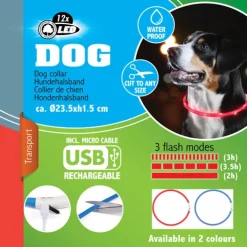 Hundhalsband LED Uppladdningsbar, Blå -Megafynd shop 18420 1 4