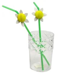 Plastglas Med Bård 100 X 75 Mm